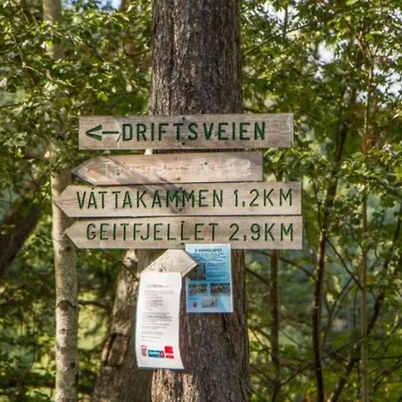 Rom I Studentkollektiv, Naert Sentrum Og Buss Og Trikkestopp *